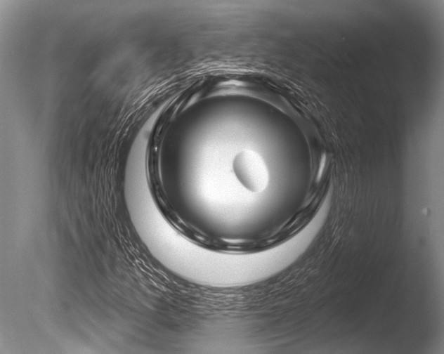 X0000086321157200703301210