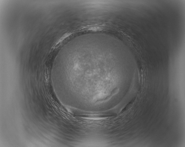 X0000086321158200703301210
