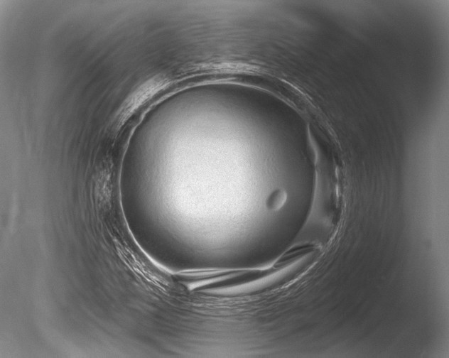 X0000086321163200703301210