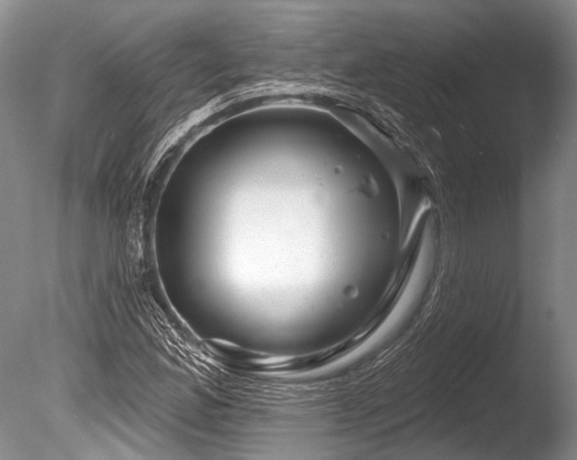 X0000086321165200703301210
