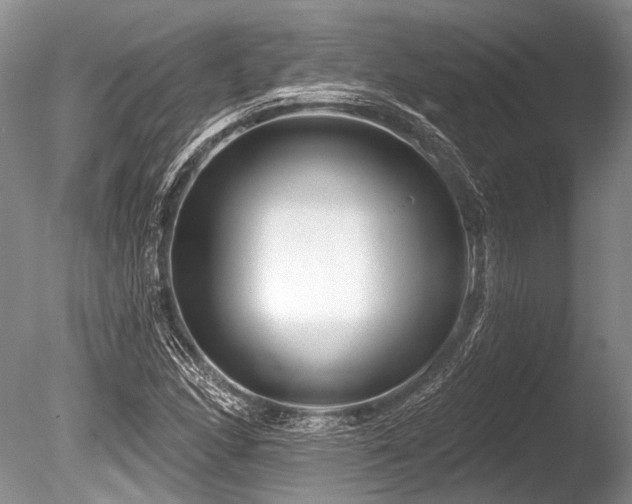 X0000086321166200703301210