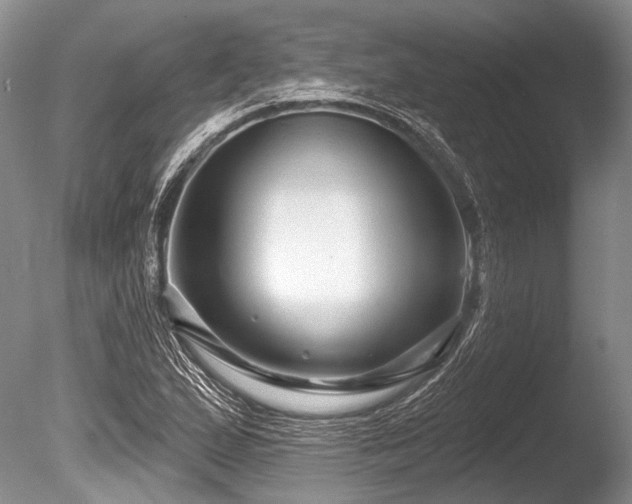 X0000086321167200703301210