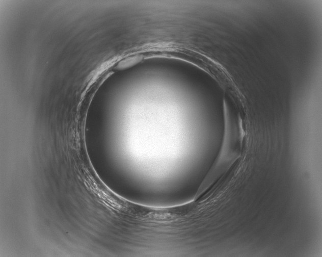 X0000086321168200703301210