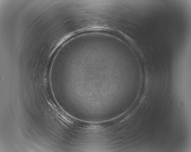 X0000086321170200703301210
