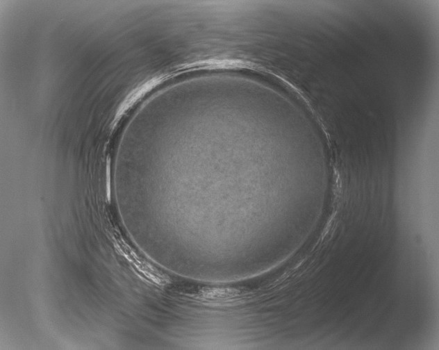 X0000086321171200703301210