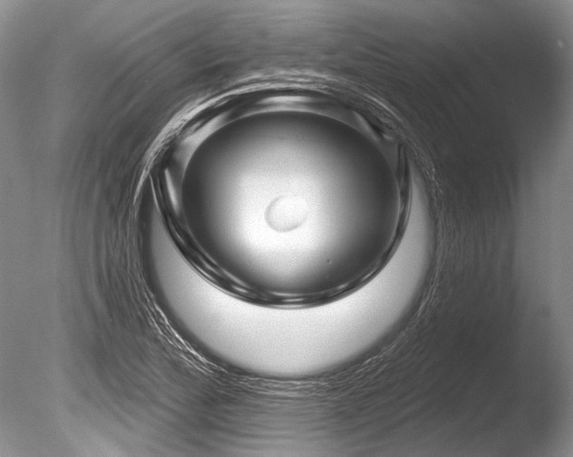 X0000086321172200703301210