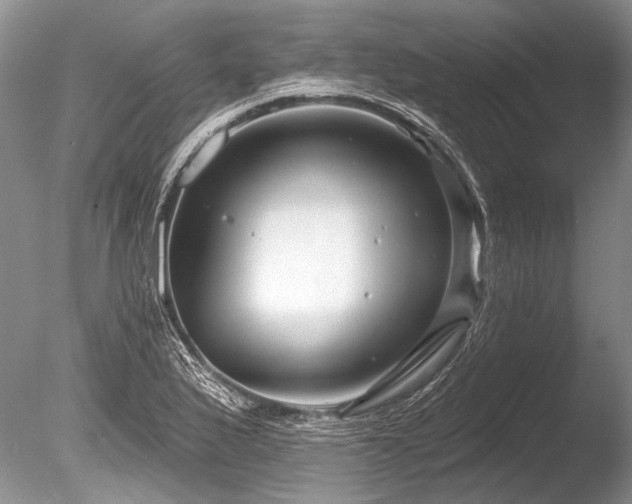 X0000086321175200703301210