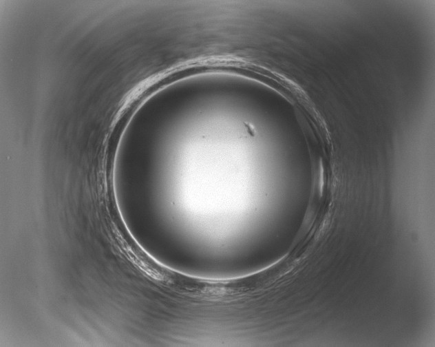 X0000086321176200703301210