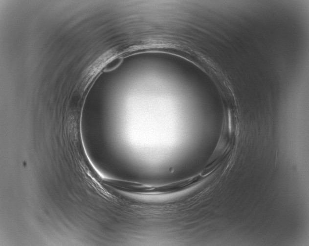X0000086321177200703301210