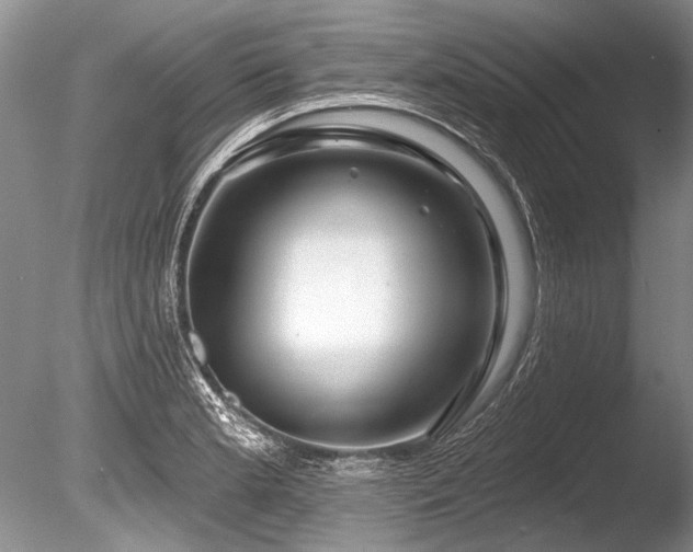 X0000086321181200703301210