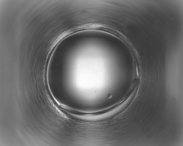 X0000086321186200703301210