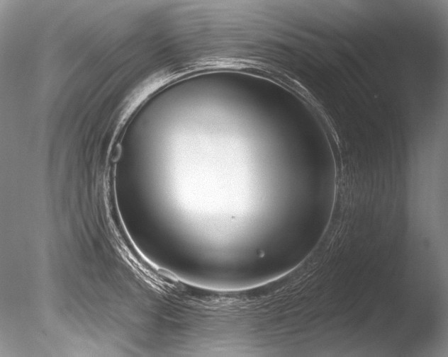X0000086321187200703301210
