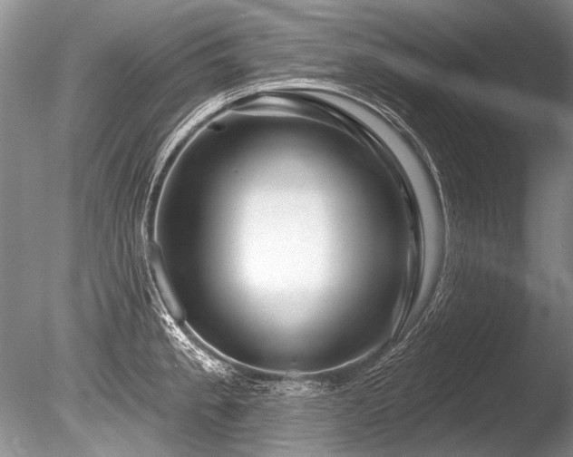 X0000086321189200703301209