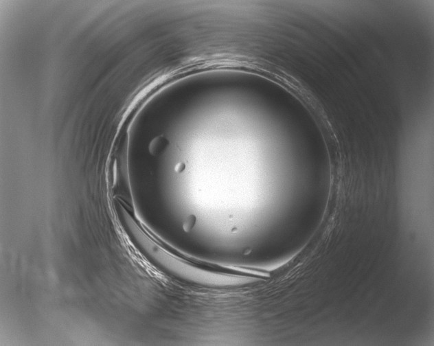 X0000086321190200703301209