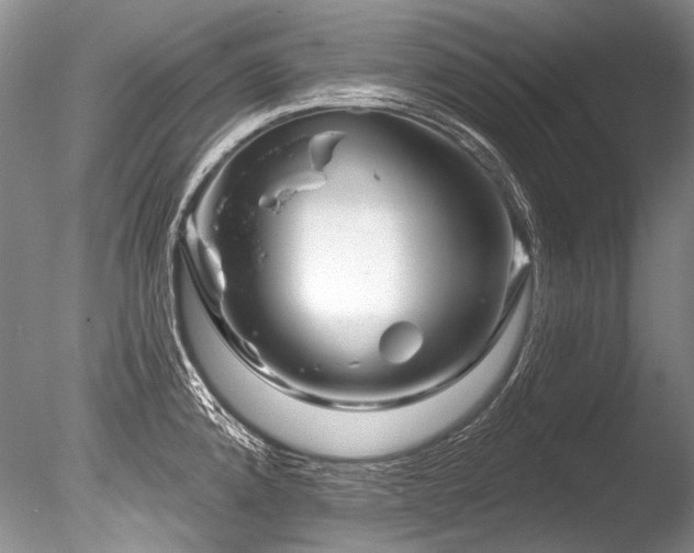 X0000086321192200703301209