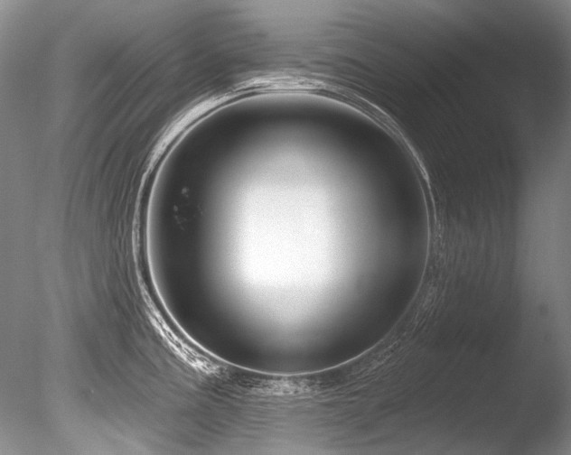 X0000086321195200703301209