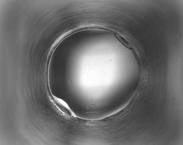 X0000086321199200703301209