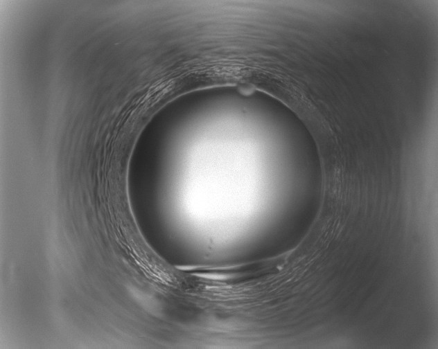 X0000086321201200703301208