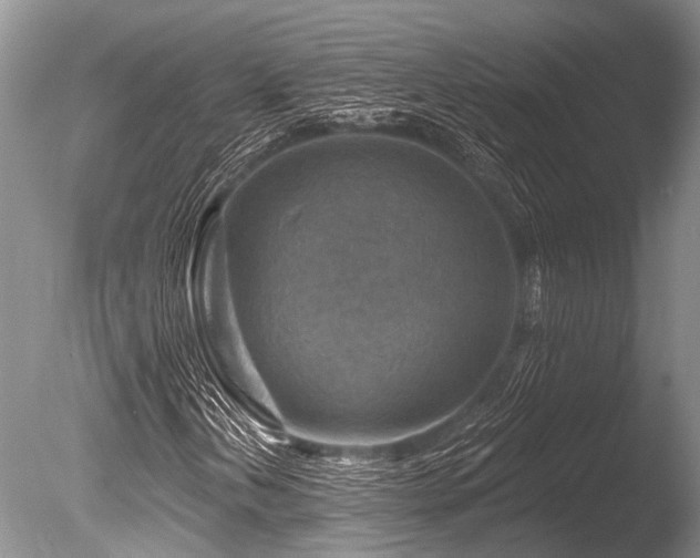 X0000086321202200703301208