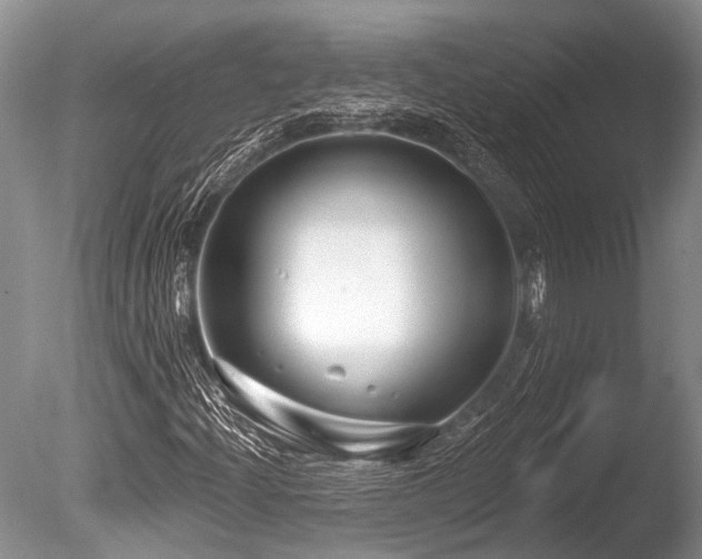 X0000086321204200703301209