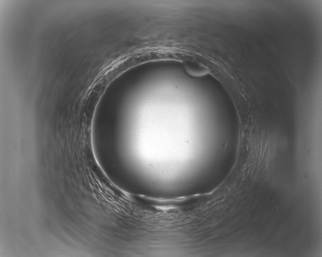 X0000086321207200703301209