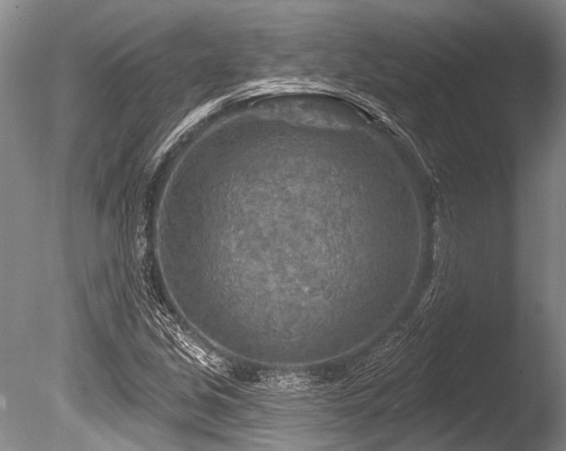 X0000086321213200703301209