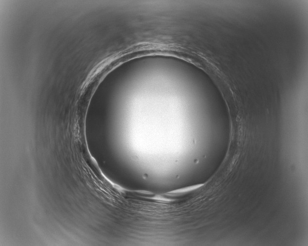 X0000086321215200703301209