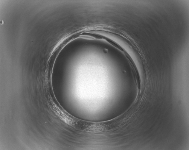 X0000086321216200703301209