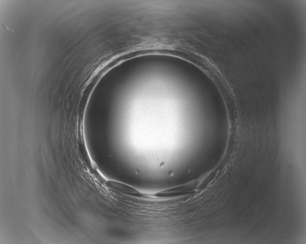 X0000086321220200703301209