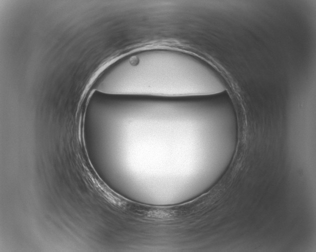 X0000086321224200703301209