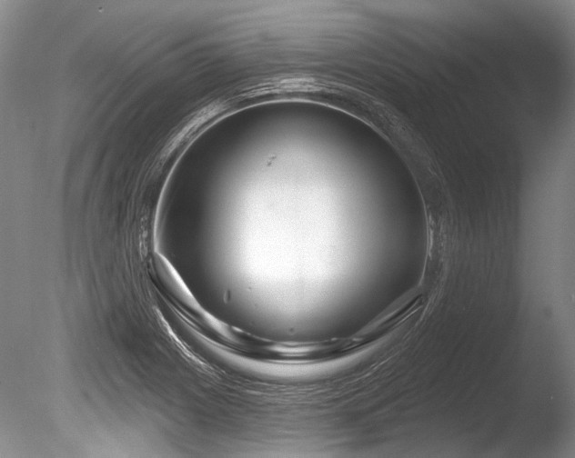 X0000086321225200703301209