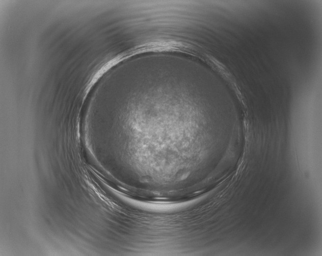 X0000086321226200703301209