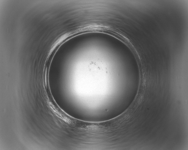 X0000086321227200703301209