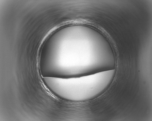 X0000086321232200703301209