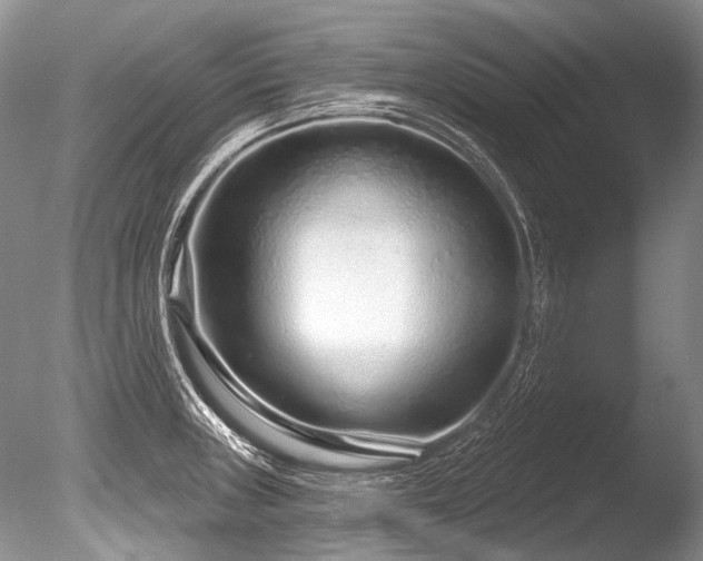 X0000086321235200703301209