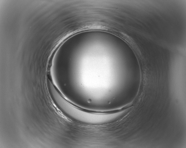 X0000086321236200703301209