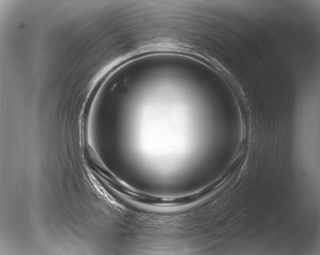 X0000086321238200703301209