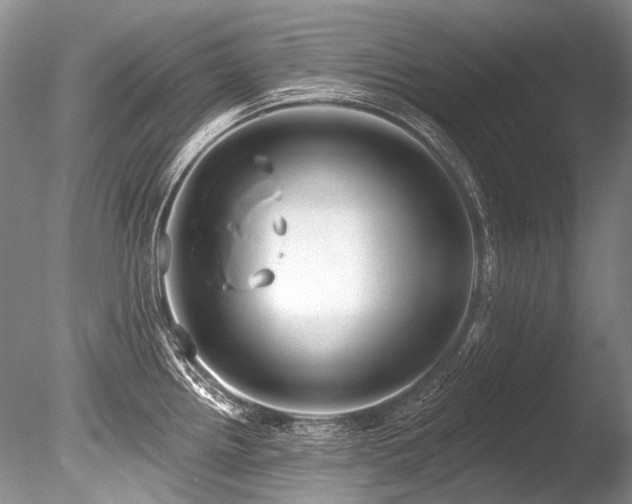 X0000086321242200703301209
