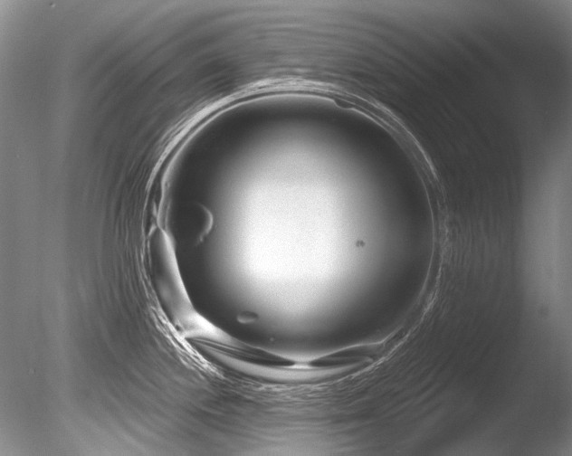 X0000086321244200703301209