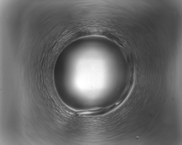 X0000086321249200703301208