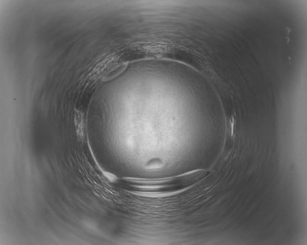 X0000086321251200703301208