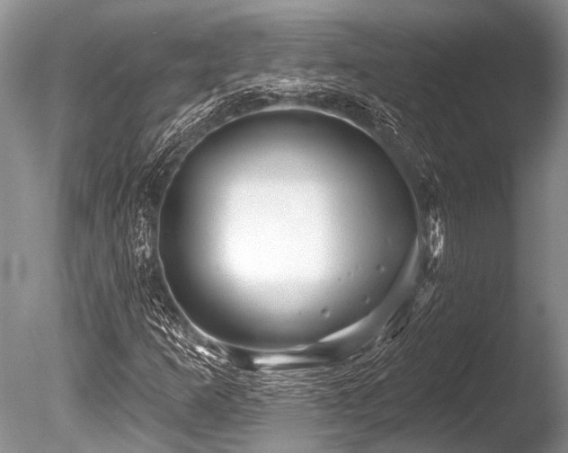 X0000086321253200703301208