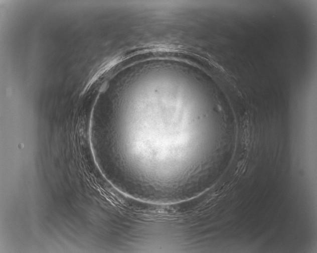 X0000086321255200703301208