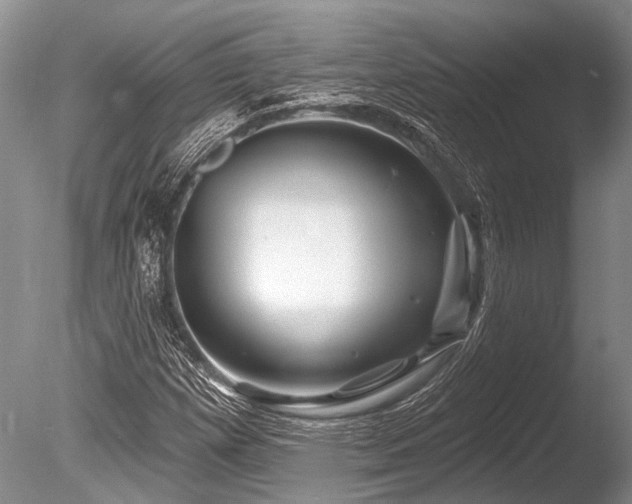 X0000086321257200703301208
