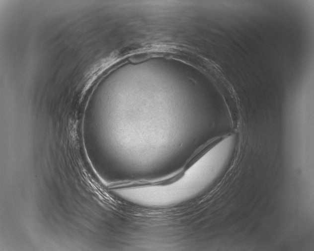 X0000086321260200703301208