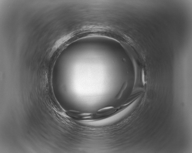 X0000086321261200703301208