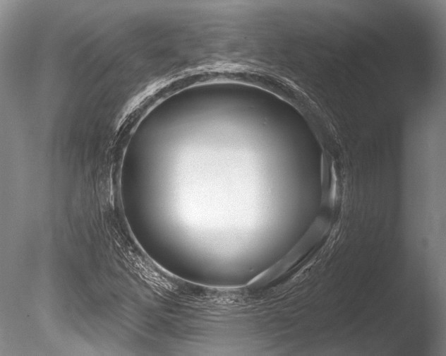 X0000086321262200703301208