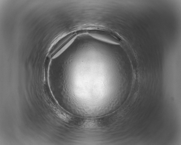 X0000086321267200703301208