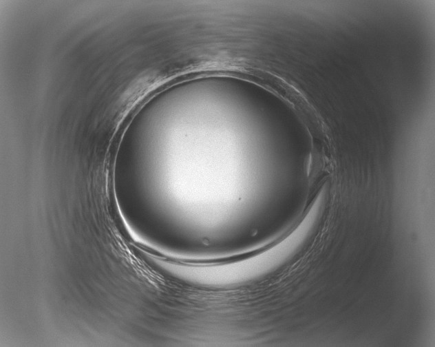 X0000086321268200703301208