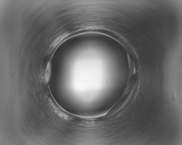 X0000086321273200703301208